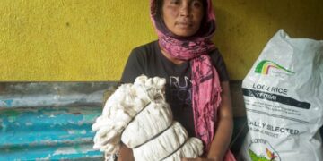 Mana Tresa Hakuak Hela Kabas atu Hodi Soru Tais