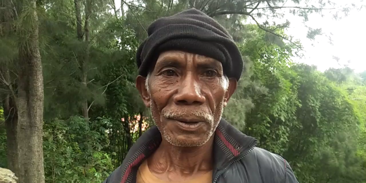 Avo Domingus Triste Tamba Nia Aihoris Sira Estragus Hotu Husi Rai Halai