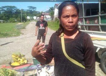 Merkadu Sentaral Municipiu Ainaro Ladun Hetan Redimentu Diak