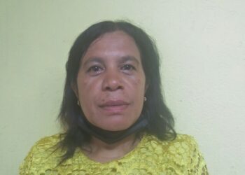 SS Ainaro Rejista Ema Kaben Sedu Ho Minoridade 4%