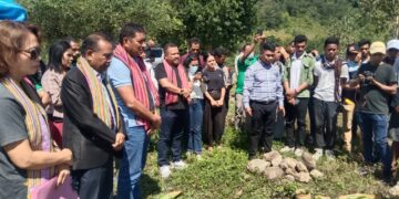 UNITAL Lansa Fatuk Dahuluk Edefisiu Polu Universidade Iha Ainaro