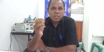 Dretor Terras Propriedade Munisípiu Ainaro