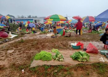 Negosiante Munisípiu Ainaro Fan Produtu Lokál Iha Tahu-Laran