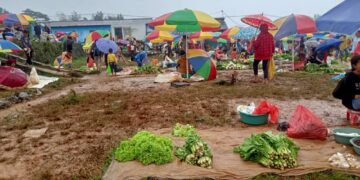 Negosiante Munisípiu Ainaro Fan Produtu Lokál Iha Tahu-Laran