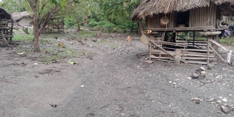 Esperiensia no esperansa