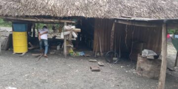 Mota Olotal Sobu Uma Kain 6 Hetan Estragus 