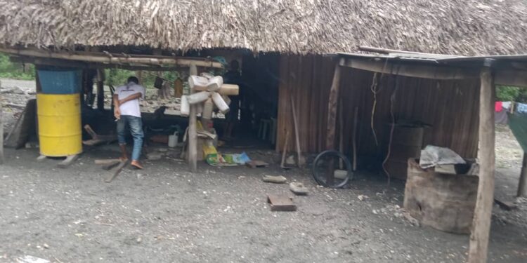 Mota Olotal Sobu Uma Kain 6 Hetan Estragus 