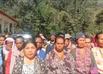 Sobrivivente Mau-chiga No Dare Ainaro 36 resin Seidauk Hetan Apoiu Subsido Ruma Husi Governu