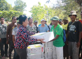 MAP Distribui Hasprayer Ba Grupo Agrikultura 6 Iha Bonuk