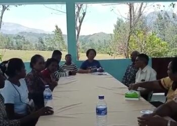 Akbit fo Koñsementu Negosio ba Sobrevivente iha Rendimentu Ekonomia