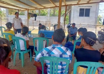 CSMA Rejista Labarik 3000 sedauk simu vasina Penomenia Cocal no Albendazol