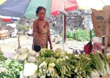 Mafalda Tanis nia produto lokal la folin iha Merkado