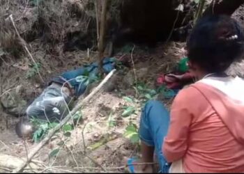 Polísia Investigasaun Ainaro Rekolha Mate Isin Ida Iha Bibau Hato-Builico