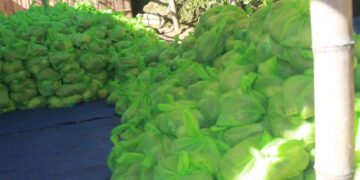 Benefisiàriu  iha Aldeia Ainaro lamenta ho produtu sesta bàzika tamba iha sasan balun aat