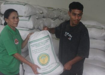 MAP distribui fini hare tonelada 18 ba natar na’in sira