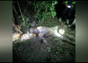 Komunidade Suro-kraik hetan mate isin iha to’os laran kondisaun bubu ona