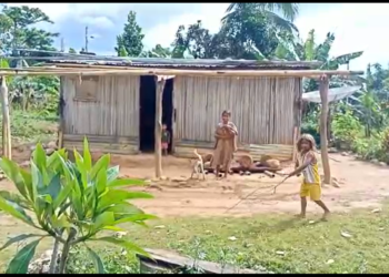 Anin boot komesa akontese iha Ainaro