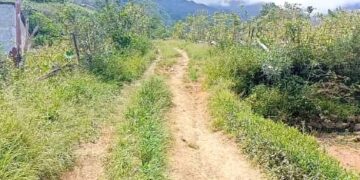 Komúnidade 1000 Iha Aldeia Raebuti-udu seida’uk asesu ba Estrada di’ak