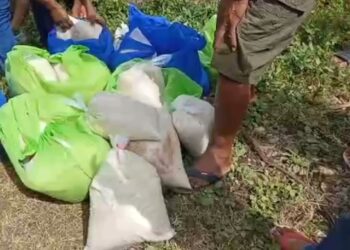 Kompainha Asmaetete Unipesoal Limitada Distribui sasán sesta Bázika balun identifika Fohuk no Dodok