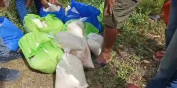 Kompainha Asmaetete Unipesoal Limitada Distribui sasán sesta Bázika balun identifika Fohuk no Dodok