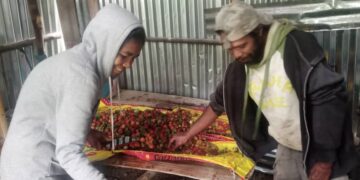 Maria lori  Strawberry selu oan ba eskola