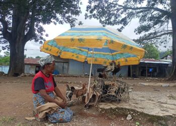 Armanda idade 64, Triste La Hetan Rendimentu Husi Produto Lokal Hodi atende nesesidade uma laran 