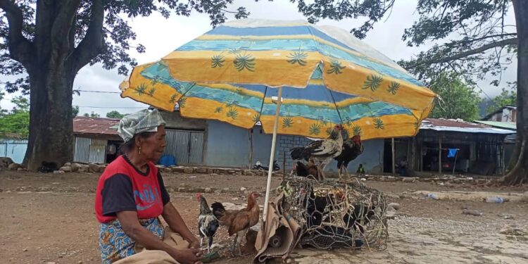 Armanda idade 64, Triste La Hetan Rendimentu Husi Produto Lokal Hodi atende nesesidade uma laran 