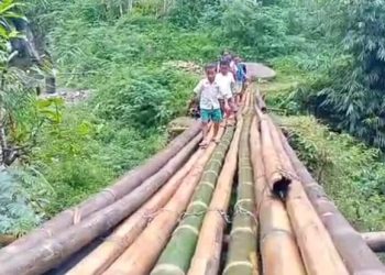 Komunidade Polorema Harii Ponte Tradisionál ho Voluntáriu