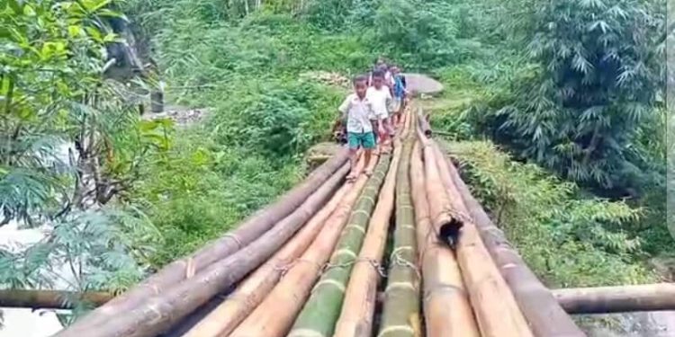 Komunidade Polorema Harii Ponte Tradisionál ho Voluntáriu