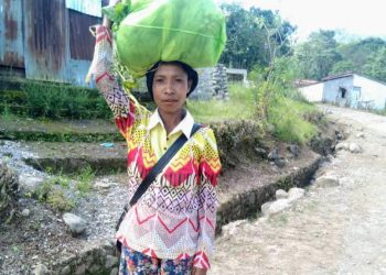 Timor-Leste Restaura ba dala 21, Governu Foun Tenki Ukun Povu Ho Dignu