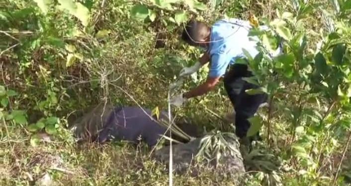 Hafoin Tula Buah ho Malus Iha Be’e Matan Lulik, Familía Hetan Mate Isin “Luis” Iha Tos Laran