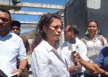 MSSI  “BI La Sai Bareira ba Idozos Hodi Asesu Sùbsidu”