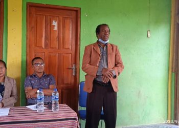 Ekipa Jestaun Merkaduria Ainaro Dejamina Funsionamentu Lei Lisensa Negosiu