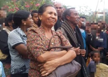 Durante Tinan 56 Sai Manorin nain, Ne’e Hanesan Vokasaun