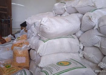 Lori Eleitoràl MPPF Sei Fahe Fini Batar Kilograma 5 Tanba Fini Batar La Sufisiente