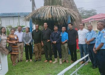 AMA Lansa Arvore Nátal ho Naran Fulan Dame Ainaro