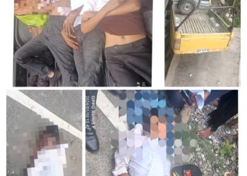 Kareta EDTL.EP baku fila Estudante Amandio Mate fatin Nain 19 Kanek Grave