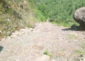 Tinan 20 Ona Estrada Suku Maununo Liga Ba Ainaro Sei Aat Grave