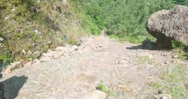 Tinan 20 Ona Estrada Suku Maununo Liga Ba Ainaro Sei Aat Grave