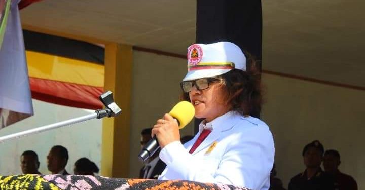 AMA Promete 2025 sei halo Mudansa Ba Munísipiu Ainaro