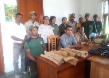 Janeiru – Juñu Guarda Floresta prende kilat-Manu 6 no iA-kameli inklui Sensor Balu  