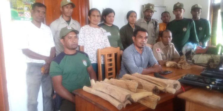 Janeiru – Juñu Guarda Floresta prende kilat-Manu 6 no iA-kameli inklui Sensor Balu  