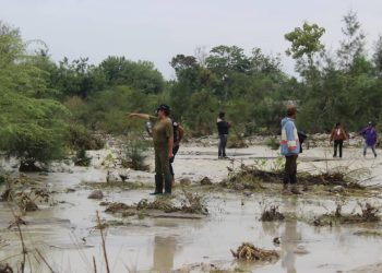 PAM Ainaro Observa Mota Be-Luli Ne’ebe Ameasa Komunidade no Plantasaun Sira