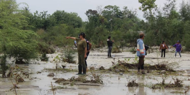 PAM Ainaro Observa Mota Be-Luli Ne’ebe Ameasa Komunidade no Plantasaun Sira