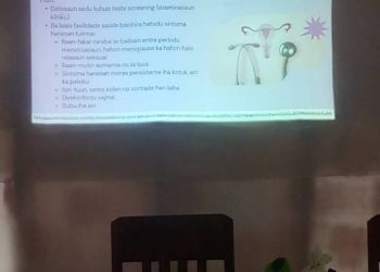 Sosializasaun Vasina Foun Human Papiloman Virus iha Ainaro