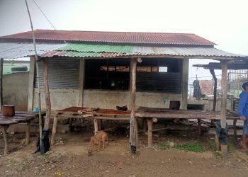 Estadu Kria Kondisaun Diak, Negosiante Prontu Selu Tasa