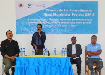 CI-TL Realiza Surumutu Nivel Munisipiu ho APH ba Konsultasaun Projetu GEF-8