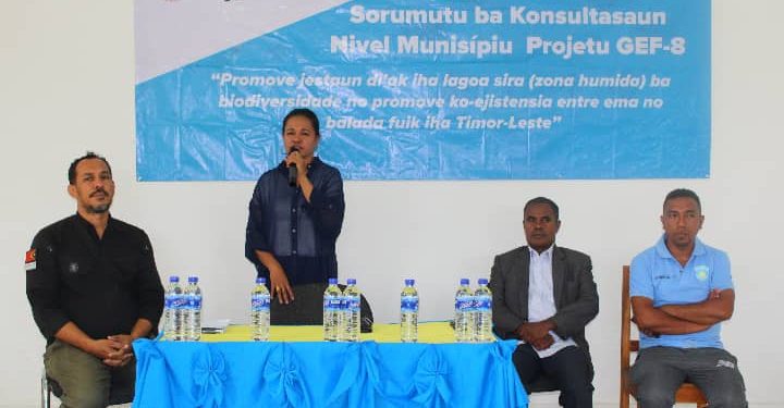 CI-TL Realiza Surumutu Nivel Munisipiu ho APH ba Konsultasaun Projetu GEF-8
