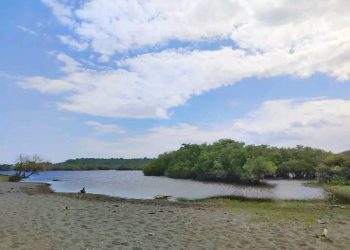 Atu Salva Biodiversidade Iha Lagua Bikantidi Bonuk Presija Atensaun husi Parte Relevante