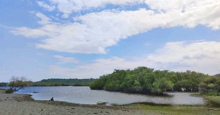 Atu Salva Biodiversidade Iha Lagua Bikantidi Bonuk Presija Atensaun husi Parte Relevante